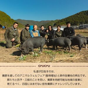 【こだわりの無塩せき】奥地ほうぼく豚を使った ベーコン・ハム 食べ比べセット MNP0002