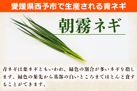 ＜愛媛県西予市産 朝霧ネギ 約2kg（80g入り×25袋）＞ 根無し 西予市産 愛媛県産 国産 野菜 やさい 青葱 青ネギ 青ねぎ 葉ネギ 葱 ねぎ 特産品 株式会社ノムランド 愛媛県 西予市【冷蔵】『1か月以内に順次出荷予定』NNM0001