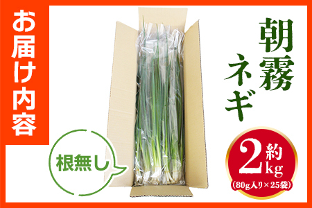 ＜愛媛県西予市産 朝霧ネギ 約2kg（80g入り×25袋）＞ 根無し 西予市産 愛媛県産 国産 野菜 やさい 青葱 青ネギ 青ねぎ 葉ネギ 葱 ねぎ 特産品 株式会社ノムランド 愛媛県 西予市【冷蔵】『1か月以内に順次出荷予定』NNM0001