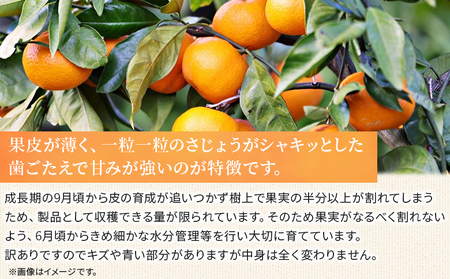 ＜訳あり おはこやがつくる 甘平 約3kg＞ ワケアリ 家庭用 果物 くだもの 果実 フルーツ 柑橘類 かんぺい カンペイ みかん ミカン 蜜柑 特産品 西宇和 愛媛県 西予市 【常温】『2025年2月上旬から2月末迄に順次出荷予定』MOK0016