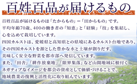 <百姓百品復興焼酎 720ml×6本セット> 選べる本数 西予市産 愛媛県産 国産 さつま芋 さつまいも サツマイモ 芋焼酎 アルコール 25度 お酒 酒 晩酌 宅飲み 百姓百品株式会社 愛媛県 西予市【常温】『1か月以内に順次出荷予定』NHH0003