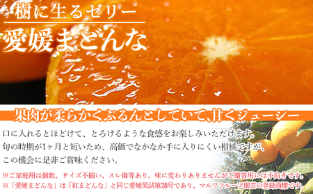 先行予約 ＜愛媛県西予市産 愛媛まどんな ご家庭用 約2kg＞ 約7～15個入り 訳あり 柑橘 果物 フルーツ オレンジ 愛媛果試第28号 期間限定 マドンナ 甘い 食べて応援 宇都宮物産 愛媛県 西予市【常温】『2024年12月上旬～2025年1月中旬迄に順次出荷予定』UUB0052