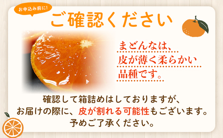 先行予約 ＜愛媛県西予市産 愛媛まどんな ご家庭用 約2kg＞ 約7～15個入り 訳あり 柑橘 果物 フルーツ オレンジ 愛媛果試第28号 期間限定 マドンナ 甘い 食べて応援 宇都宮物産 愛媛県 西予市【常温】『2024年12月上旬～2025年1月中旬迄に順次出荷予定』UUB0052