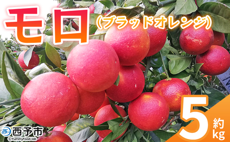 ＜モロ（ブラッドオレンジ）約5kg＞ 果物 フルーツ みかん ミカン 蜜柑 オレンジ 柑橘 もろ ぶらっどおれんじ 食べて応援 特産品 JA えひめ南農業協同組合 愛媛県 西予市 【常温】『2026年2月上旬～3月上旬に順次出荷予定』OEM0002