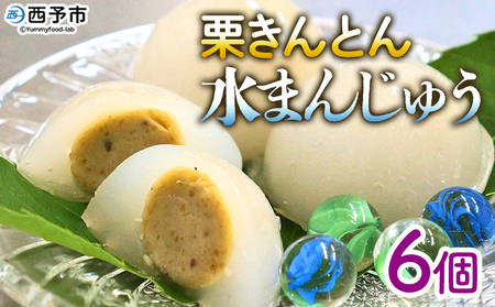 ＜栗きんとん水まんじゅう 6個＞ 水饅頭 みずみずしい美味しさ 涼やか ぷるぷるのひんやり食感 冷菓 涼しげなお菓子 栗菓子 マロン くり 和栗 スイーツ 和菓子 お土産 秋 城川町 県産 城川ファクトリー 愛媛県 西予市【冷凍】『1か月以内に順次出荷予定』SSF0029