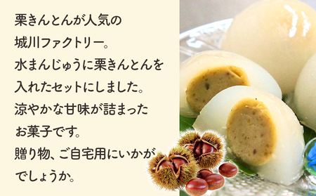 ＜栗きんとん水まんじゅう 6個＞ 水饅頭 みずみずしい美味しさ 涼やか ぷるぷるのひんやり食感 冷菓 涼しげなお菓子 栗菓子 マロン くり 和栗 スイーツ 和菓子 お土産 秋 城川町 県産 城川ファクトリー 愛媛県 西予市【冷凍】『1か月以内に順次出荷予定』SSF0029