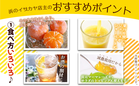 ＜《4月発送》旬をお届け！河内晩柑 約7kg＞ みかん ミカン 蜜柑 果物 柑橘類 果実 オレンジ フルーツ かわちばんかん カワチバンカン 15～20個前後 特産品 国産 明浜産 二ノ宮商事 愛媛県 西予市【常温】『2026年4月中旬から順次出荷予定』ANS0020