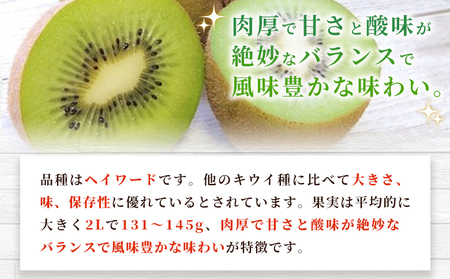 キウイフルーツ 秀 2Lサイズ 18個＞ 約3.5kg ヘイワード へいわ