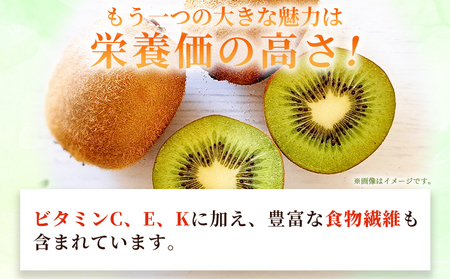 キウイフルーツ 秀 2Lサイズ 18個＞ 約3.5kg ヘイワード へいわ