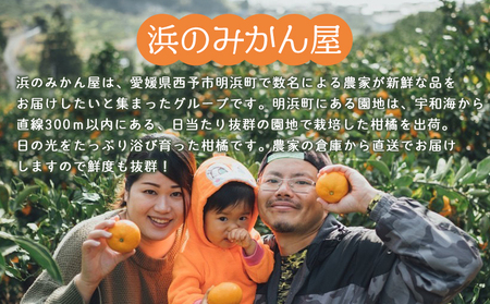 ＜訳あり 温州みかん 約3kg＞ 小玉 中玉 明浜産 果物 フルーツ 蜜柑 うんしゅうみかん ウンシュウミカン 柑橘 家庭用 浜のみかん屋 直送 愛媛県 西予市【常温】『2025年11月上旬～2026年1月中旬迄に順次出荷』AHM0018