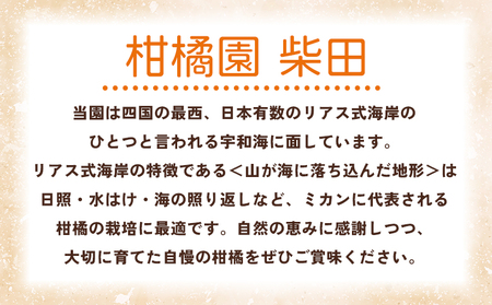 ＜せとか 家庭用 約5kg＞ 訳あり わけあり 自宅用 果物 フルーツ みかん ミカン 蜜柑 オレンジ 柑橘 セトカ 選べる ジューシー サイズ不揃い 食べて応援 特産品 柑橘園柴田 愛媛県 西予市【常温】『2025年2月下旬～3月中旬迄に順次出荷予定』MKE0008