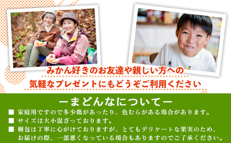 紅まどんなと同品種！＜贅沢柑橘「まどんな」家庭用 箱込約3kg＞ 果物 フルーツ マドンナ みかん ミカン 蜜柑 オレンジ 愛媛果試第28号 柑橘 訳あり 産地直送 三好農園 西宇和 愛媛県 西予市【常温】『2025年11月中旬～2026年1月上旬迄に順次出荷予定』MMN0018