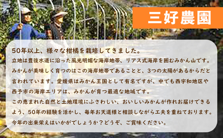 紅まどんなと同品種！＜贅沢柑橘「まどんな」家庭用 箱込約3kg＞ 果物 フルーツ マドンナ みかん ミカン 蜜柑 オレンジ 愛媛果試第28号 柑橘 訳あり 産地直送 三好農園 西宇和 愛媛県 西予市【常温】『2025年11月中旬～2026年1月上旬迄に順次出荷予定』MMN0018