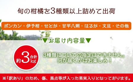 ＜旬の訳あり柑橘詰め合わせ 約3kg＞ みかん ミカン 家庭用 果物 フルーツ おいしい 甘い オレンジ 柑橘類 ご自宅用 おまかせ 特産品 あけはま 明浜産 浜のみかん屋 愛媛県 西予市【常温】『2025年2月上旬～3月下旬迄に順次出荷予定』AHM0024