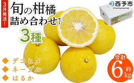 ＜3月発送！旬の柑橘 詰め合わせセット 3種×各2kg＞ 果物 フルーツ みかん ミカン 蜜柑 柑橘 オレンジ ブラッドオレンジ なつみ はるか ネーブル ポンカン 甘夏 特産品 宇都宮物産 愛媛県 西予市【常温】『3月に順次出荷予定』UUB0062