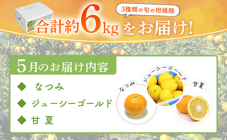 ＜5月発送！旬の柑橘 詰め合わせセット 3種×各2kg＞ 果物 フルーツ みかん ミカン 蜜柑 柑橘 オレンジ ブラッドオレンジ なつみ はるか ネーブル ポンカン 甘夏 特産品 宇都宮物産 愛媛県 西予市【常温】『5月に順次出荷予定』UUB0064