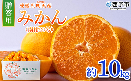 ＜みかん（南柑20号）贈答用 約10kg＞ 果物 くだもの フルーツ ミカン 柑橘 なんかん20ごう ナンカン20ゴウ 温州みかん うんしゅうみかん 贈答 ギフト プレゼント 特産品 株式会社笑丸 愛媛県 西予市【常温】『2026年12月上旬～2027年1月上旬迄に順次出荷予定』AAN0051