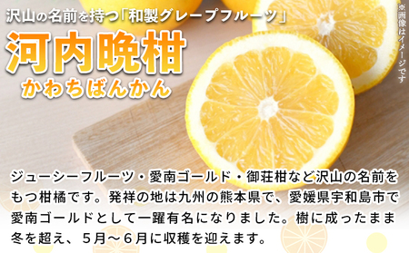 ＜河内晩柑 約7kg＞ 果物 くだもの みかん ミカン 柑橘 フルーツ かわちばんかん カワチバンカン ジューシーフルーツ 愛南ゴールド 御荘柑 国産 7キロ 特産品 産地直送 段畑みかん 愛媛県 西予市【常温】『2026年4月中旬～5月中旬迄に順次出荷予定』ADM0022