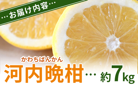 ＜河内晩柑 約7kg＞ 果物 くだもの みかん ミカン 柑橘 フルーツ かわちばんかん カワチバンカン ジューシーフルーツ 愛南ゴールド 御荘柑 国産 7キロ 特産品 産地直送 段畑みかん 愛媛県 西予市【常温】『2026年4月中旬～5月中旬迄に順次出荷予定』ADM0022