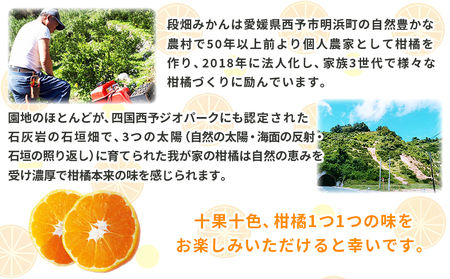＜河内晩柑 約7kg＞ 果物 くだもの みかん ミカン 柑橘 フルーツ かわちばんかん カワチバンカン ジューシーフルーツ 愛南ゴールド 御荘柑 国産 7キロ 特産品 産地直送 段畑みかん 愛媛県 西予市【常温】『2026年4月中旬～5月中旬迄に順次出荷予定』ADM0022