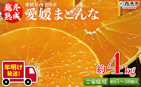 【年明け発送】紅まどんなと同品種!<愛媛県西予市産 越冬熟成 愛媛まどんな ご家庭用 約4kg> 訳あり みかん 蜜柑 ミカン 柑橘 果物 フルーツ 愛媛果試第28号 期間限定 マドンナ 愛媛マドンナ 宇都宮物産【常温】『2026年1月上旬~1月下旬迄に順次出荷予定』UUB0065