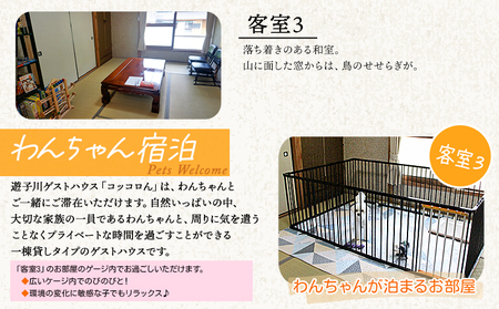 ＜大自然を感じるコッコロんの一棟貸しプラン(1泊)＞ ゲストハウス げすとはうす 古民家 宿 泊まり 利用券 旅 旅行 トラベル 1泊 犬同伴 愛犬 リラックス リノベーション アウトドア BBQ バーベキュー ピザ体験 遊子川ゲストハウス コッコロん 愛媛県 西予市 SUG0001