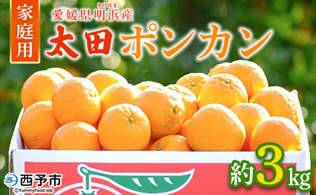 ＜太田ポンカン 家庭用 約3kg＞ 果物 くだもの フルーツ みかん ミカン 柑橘 太田ぽんかん おおたぽんかん オオタポンカン ぽんかん 訳あり ご自宅用 特産品 株式会社笑丸 愛媛県 西予市【常温】『2026年1月中旬～1月下旬迄に順次出荷予定』AAN0053