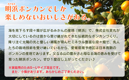 ＜太田ポンカン 家庭用 約3kg＞ 果物 くだもの フルーツ みかん ミカン 柑橘 太田ぽんかん おおたぽんかん オオタポンカン ぽんかん 訳あり ご自宅用 特産品 株式会社笑丸 愛媛県 西予市【常温】『2026年1月中旬～1月下旬迄に順次出荷予定』AAN0053