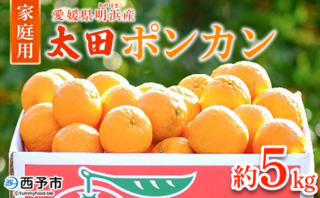 ＜太田ポンカン 家庭用 約5kg＞ 果物 くだもの フルーツ みかん ミカン 柑橘 太田ぽんかん おおたぽんかん オオタポンカン ぽんかん 訳あり ご自宅用 特産品 株式会社笑丸 愛媛県 西予市【常温】『2026年1月中旬～1月下旬迄に順次出荷予定』AAN0054