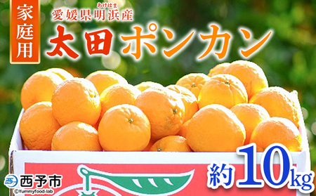 ＜太田ポンカン 家庭用 約10kg＞ 果物 くだもの フルーツ みかん ミカン 柑橘 太田ぽんかん おおたぽんかん オオタポンカン ぽんかん 訳あり ご自宅用 特産品 株式会社笑丸 愛媛県 西予市【常温】『2026年1月中旬～1月下旬迄に順次出荷予定』AAN0055