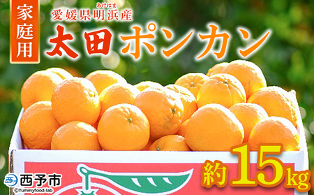 ＜太田ポンカン 家庭用 約15kg＞ 果物 くだもの フルーツ みかん ミカン 柑橘 太田ぽんかん おおたぽんかん オオタポンカン ぽんかん 訳あり ご自宅用 特産品 株式会社笑丸 愛媛県 西予市【常温】『2026年1月中旬～1月下旬迄に順次出荷予定』AAN0056