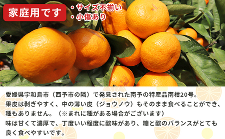 ＜愛媛県西予市産 温州みかん（南柑20号）家庭用 約3kg（サイズ不揃い・小傷あり）＞ 訳あり  果物 くだもの ミカン 柑橘 フルーツ 食べて応援 特産品 段畑みかん 愛媛県 西予市【常温】『2025年11月中旬～2026年1月中旬迄に順次出荷予定』ADM0020