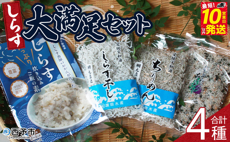 ＜しらす大満足セット 合計4種＞炊き込み 西予市産 ちりめん しらす干し 食べ比べ 健康 カルシウム 詰め合わせ チリメン シラス 魚介 海産物 海鮮 家庭用 贈答用 小分け 国産 特産品 産地直送 濱田水産 愛媛県 西予市【冷凍】『最短10営業日以内に順次発送予定』AHS0005