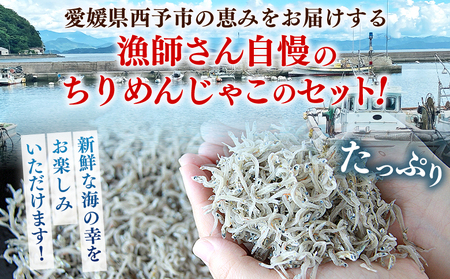 ＜漁師さん自慢のちりめんじゃこ 合計350g（70g×5パック）＞ しらす シラス おじゃこ お魚 おさかな 小魚 魚介類 乾燥 海の幸 海鮮 小分け 個包装 おすそ分け 国産 産地直送 送料無料 特産品 濱田水産 愛媛県 西予市【冷蔵】『最短10営業日以内に発送予定』AHS0008