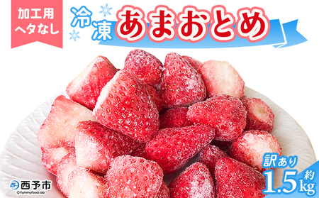 ＜冷凍いちご あまおとめ 約1.5kg 加工用 ヘタなし＞ 国産 アマオトメ 朝採り 朝採れ サイズ 不揃い 訳あり 訳アリ フルーツ 果物 苺 いちご イチゴ シャーベット ジャム スムージー 大粒 小粒 りの果樹園 愛媛県 西予市【冷凍】『1か月以内に順次出荷予定』URK0013