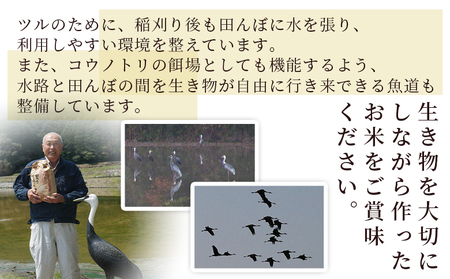 【先行予約】新米 <令和8年産 コシヒカリ「つるの寝どこまい」約5kg 西予市宇和町産>2026年産 こしひかり お米 コメ こめ 白米 精米 ご飯 ごはん 穀物 ライス SDGs 共生 楠 健明 愛媛県 西予市【常温】『2026年9月上旬から順次出荷予定』 UKK0001