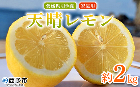 ＜天晴レモン ご家庭用 約2kg＞ フルーツ 果物 くだもの レモン れもん 檸檬 柑橘 訳あり わけあり ワケアリ 自宅用 料理 国産 国産レモン 愛媛県産 特産品 株式会社笑丸 愛媛県 西予市【常温】『2025年12月～2026年1月に順次出荷予定』AAN0043