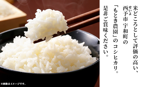 愛媛県西予市産 コシヒカリ 5kg＞国産 愛媛県産 宇和町産