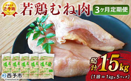 ＜愛媛県産 銘柄鶏 浜千鶏（はまちどり）若鶏むね肉 5kg（1kg×5）3ヶ月定期便＞ 国産 鶏肉 大容量 業務用 家庭用 鳥肉 とり チキン ムネ 精肉 塊 ブロック 定期便 産地直送 愛媛県 西予市【冷凍】『1か月以内に順次出荷』OMF0004