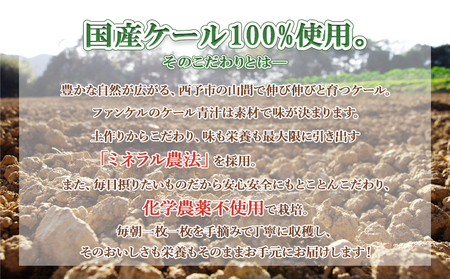 ＜ファンケル 西予市産 搾りたてケール青汁 6回定期便＞ 濃縮野菜 国産 あおじる 無添加 ミネラル農法 化学農薬不使用 飲料 ドリンク 飲み物 小分け FANCL 特産品 グリーンヒル 愛媛県 西予市 【冷凍】『1か月以内に順次出荷予定』NGH0009