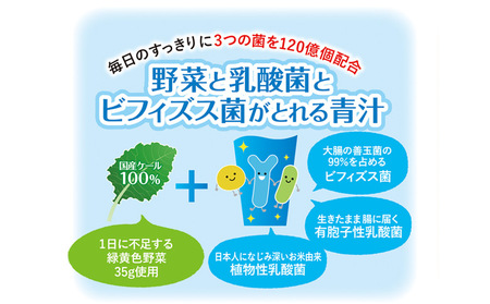 ＜野菜と乳酸菌とビフィズス菌がとれる青汁 3回定期便＞ ケール 粉末 すっきり 契約農家 健康 濃縮野菜 無添加 ミネラル農法 化学農薬不使用 青汁 飲料 野菜不足解消 グリーンヒル ファンケル FANCL 愛媛県 西予市【常温】『1か月以内に順次出荷予定』NGH0012