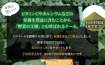 ＜野菜と乳酸菌とビフィズス菌がとれる青汁 3回定期便＞ ケール 粉末 すっきり 契約農家 健康 濃縮野菜 無添加 ミネラル農法 化学農薬不使用 青汁 飲料 野菜不足解消 グリーンヒル ファンケル FANCL 愛媛県 西予市【常温】『1か月以内に順次出荷予定』NGH0012