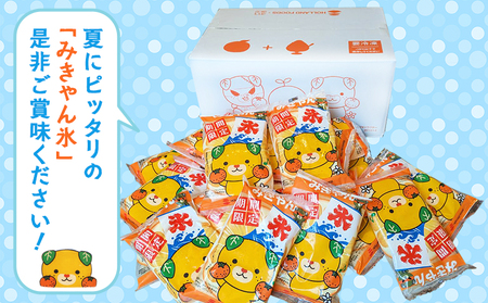 ＜袋かき氷 みきゃん氷 20袋セット せい坊オリジナルグッズ2点＞ かき氷 みかん味 オレンジ味 135ml 氷菓 シャーベット 袋氷 かきごおり こおり スイーツ 温州みかん 菓子 いそき屋 愛媛県 西予市【冷凍】『最短10営業日以内に発送予定』UES0002