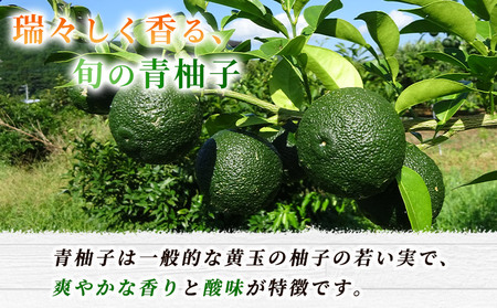 青柚子 秀 (28～32個入り) 約2kg＞ 国産 青 柚子 ゆず ユズ 柑橘