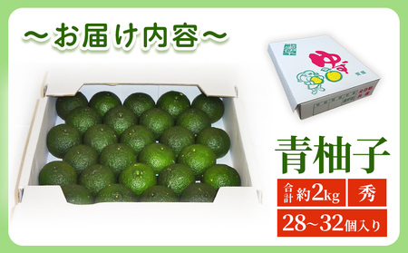 青柚子 秀 (28～32個入り) 約2kg＞ 国産 青 柚子 ゆず ユズ 柑橘