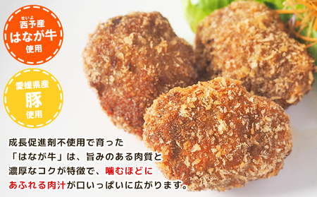 ＜はなが牛を使用した合挽メンチカツ 計6個＞ 3個入り オリジナル おつまみ 手作り 肉肉しい お肉 牛肉 はなが牛 国産 メンチカツ 肉加工品 冷凍食品 揚げ物 おかず 夕食 特産品 ゆうぼく 愛媛県 西予市 【冷凍】『1か月以内に順次出荷』 UYB0033