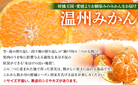 <愛媛県西予市産 訳あり 無選別 温州みかん 約4.5kg> 果物 くだもの フルーツ 柑橘 みかん 蜜柑 ミカン オレンジ 温州みかん 家庭用 サイズ混合 食べて応援 特産品 宇都宮物産 愛媛県 西予市【常温】『2025年10月中旬~2026年1月下旬迄に順次出荷予定』 UUB0083