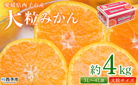 <愛媛県西予市産 大粒みかん 約4kg> 果物 くだもの フルーツ 柑橘 みかん 蜜柑 ミカン オレンジ 温州みかん 大粒 サイズ混合 食べて応援 特産品 宇都宮物産 愛媛県 西予市【常温】『2025年10月中旬~2026年1月下旬迄に順次出荷予定』 UUB0084