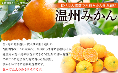 <愛媛県西予市産 大粒みかん 約4kg> 果物 くだもの フルーツ 柑橘 みかん 蜜柑 ミカン オレンジ 温州みかん 大粒 サイズ混合 食べて応援 特産品 宇都宮物産 愛媛県 西予市【常温】『2025年10月中旬~2026年1月下旬迄に順次出荷予定』 UUB0084