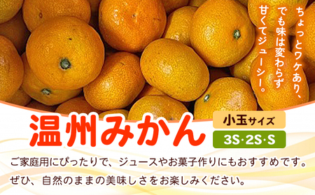 ＜fululy直送 温州みかん 訳あり 約3kg 小玉サイズ（3S～S）＞ ワケアリ サイズ混合 小玉 果物 フルーツ 蜜柑 うんしゅうみかん ウンシュウミカン 柑橘 家庭用 合同会社fululy 直送 愛媛県 西予市【常温】『2025年11月上旬～2026年1月中旬迄に順次出荷』 AGF0001